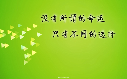 关于数字24的情话