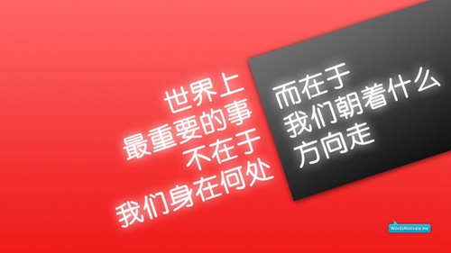 白桦林爱情故事含义