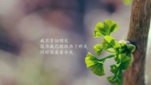 伤感离别小情诗——《最后一句》