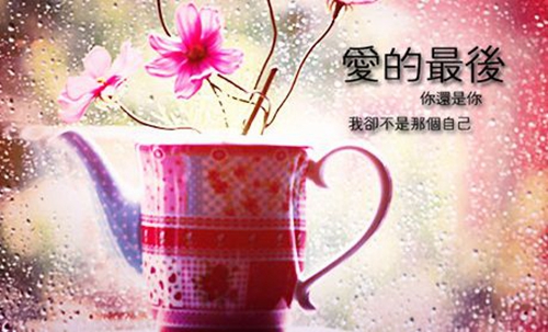 周迅经典台词你闻过花香吗搞笑版