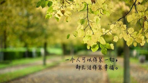 情人节情话表白短句大全