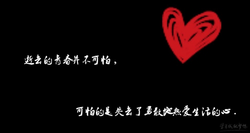 《1至100的爱情数字》精选15条