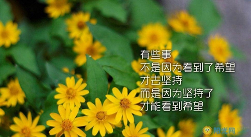 情人节这样写情话